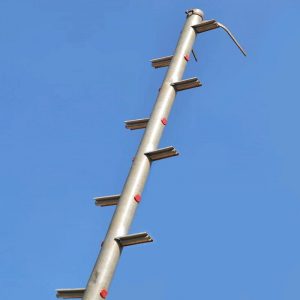 ගම්මිරිස් අස්වනු නෙලීමේ ඉනිමග